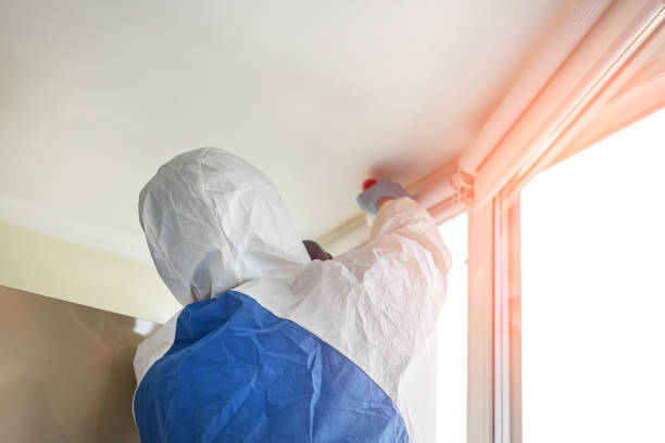 Best Mold Removal for HVAC Installations  in Osakis, MN