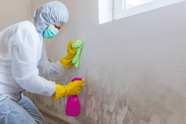 Best Biohazard Mold Removal  in Osakis, MN